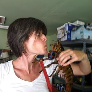 Meet your Posher, Julia